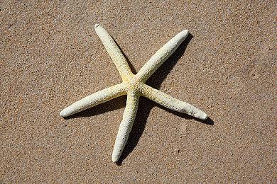 《方舟：生存飞升》两周内在 Steam平台销售超过60万份